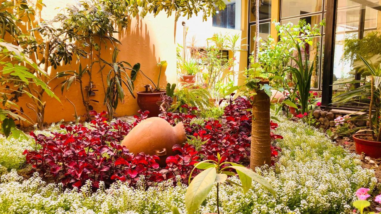 Arequipa Inn Buitenkant foto